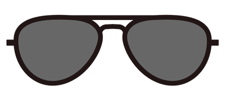 zhidden - Aviator Sunglasses