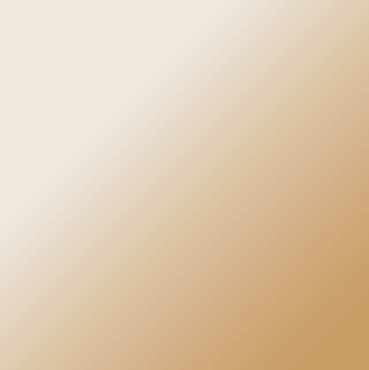 zhidden - Neutral / Clear