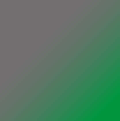 zhidden - Grey / Green