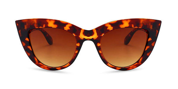 Cool Cat Tortoise front