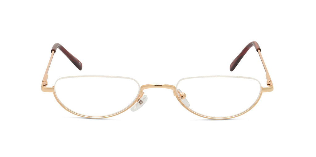 Erasmus gold front