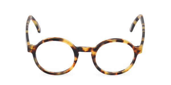 Freud Classic Tort front