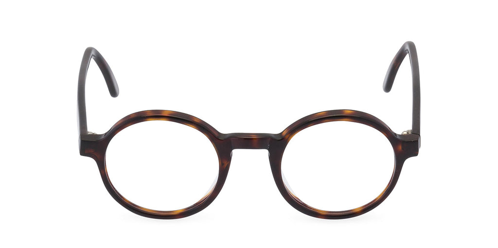 Freud Dark Amber front
