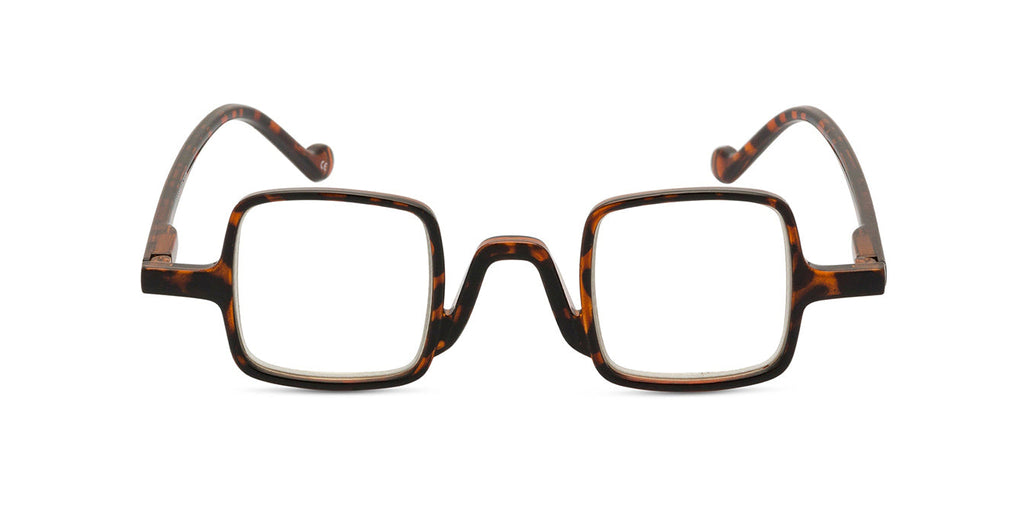 Gabe Tortoise front