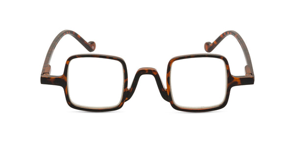 Gabe Tortoise front