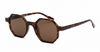 Hexy dark tortoiseshell sunglasses side