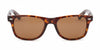 Jude Tortoiseshell front