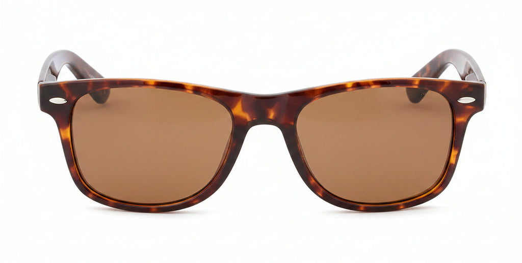 Jude Tortoiseshell front