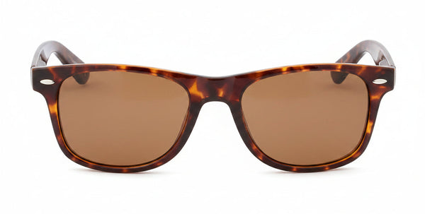 Jude Tortoiseshell front