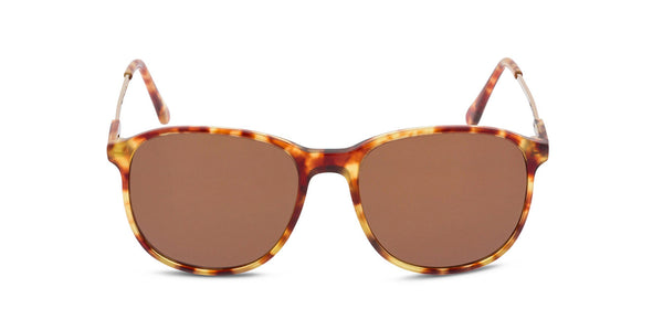 Lexi Tortoiseshell front