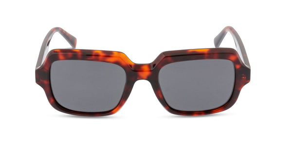 Malone Tortoise sunglasses front