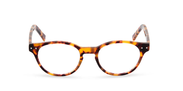 Miller Amber Tort front