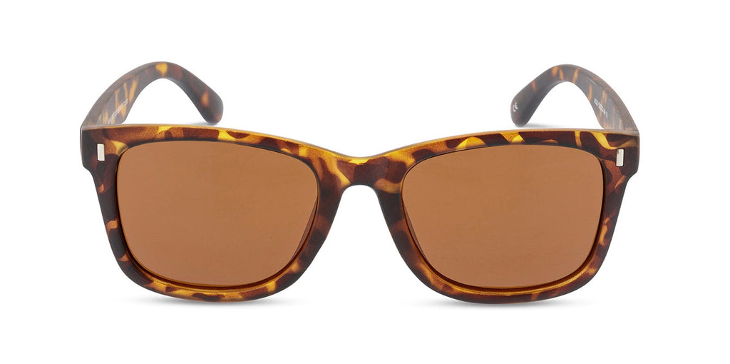 Montgomery Tort sunglasses front