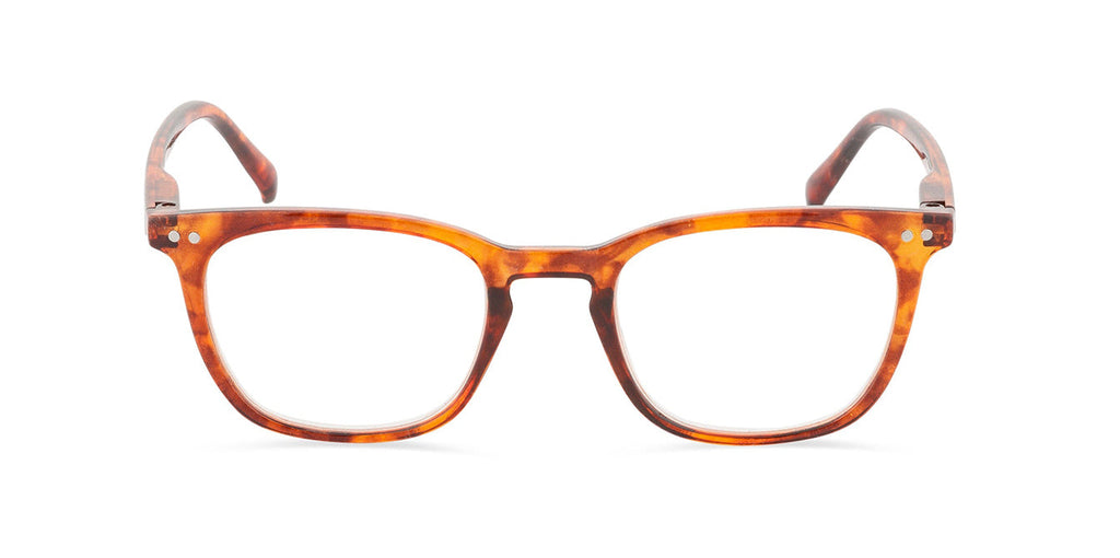 Morgan Amber Tort front