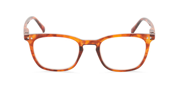 Morgan Amber Tort front