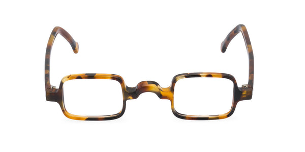 Specky glasses Tortoiseshell front