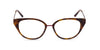 Susie Tortoiseshell front