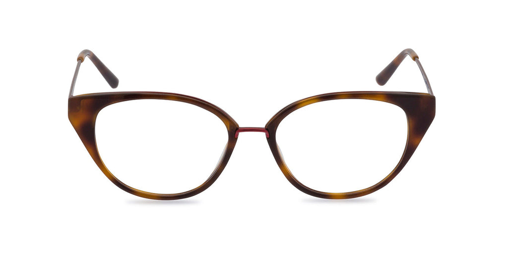 Susie Tortoiseshell front