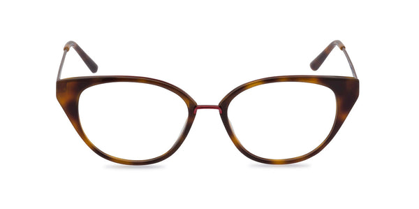 Susie Tortoiseshell front